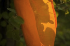 stacks_image_B064F9BF-AE2B-47C9-B265-465BB7472B8A